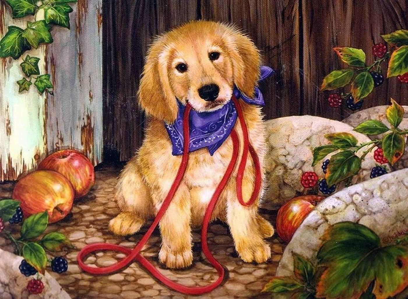 MiDenso Paint by Numbers DIY Easy Funny Painting Kit for Kids Adults Beginner 16" by 20" Colorful Pattern with Gift Wrap Stocking Stuffer Christmas Birthday Gifts for Him Girls,Lovely Dog