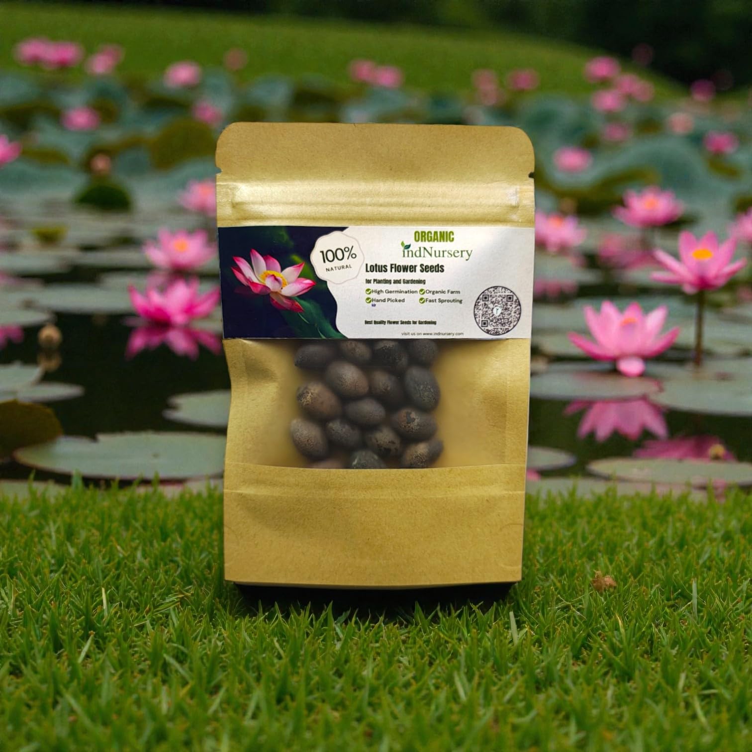 IndNursery Sacred Lotus Pack - Aquatic Pond Bloom Seeds-image-19