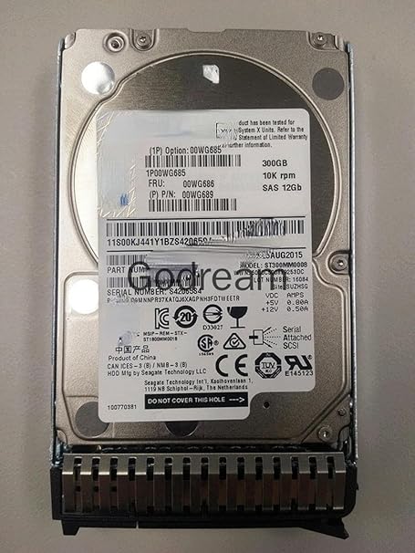 RKEBK for 00WG686 00WG685 300G 10K 12Gb SAS Hard Disk X3650M5 X6
