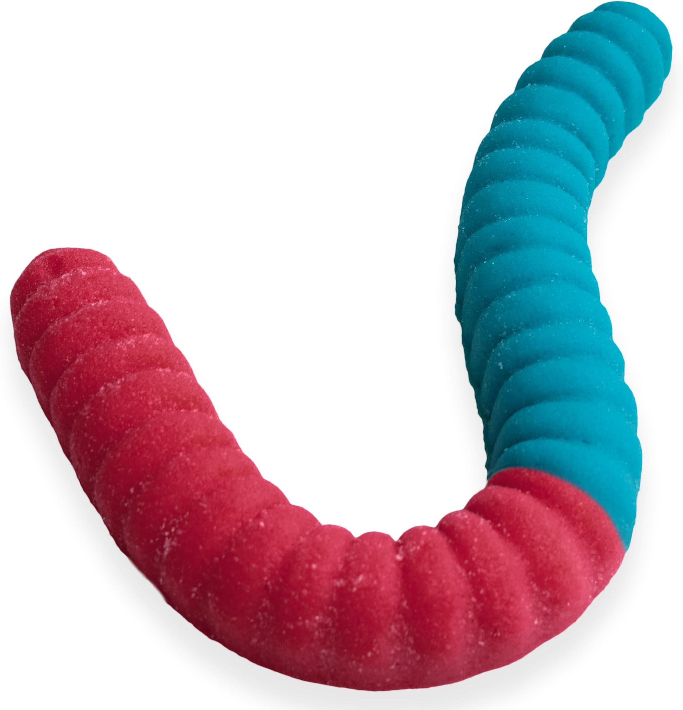 Amazon.com : Sour Giant Gummy Worm - Large 2 Pound Gummy Candy with Big ...