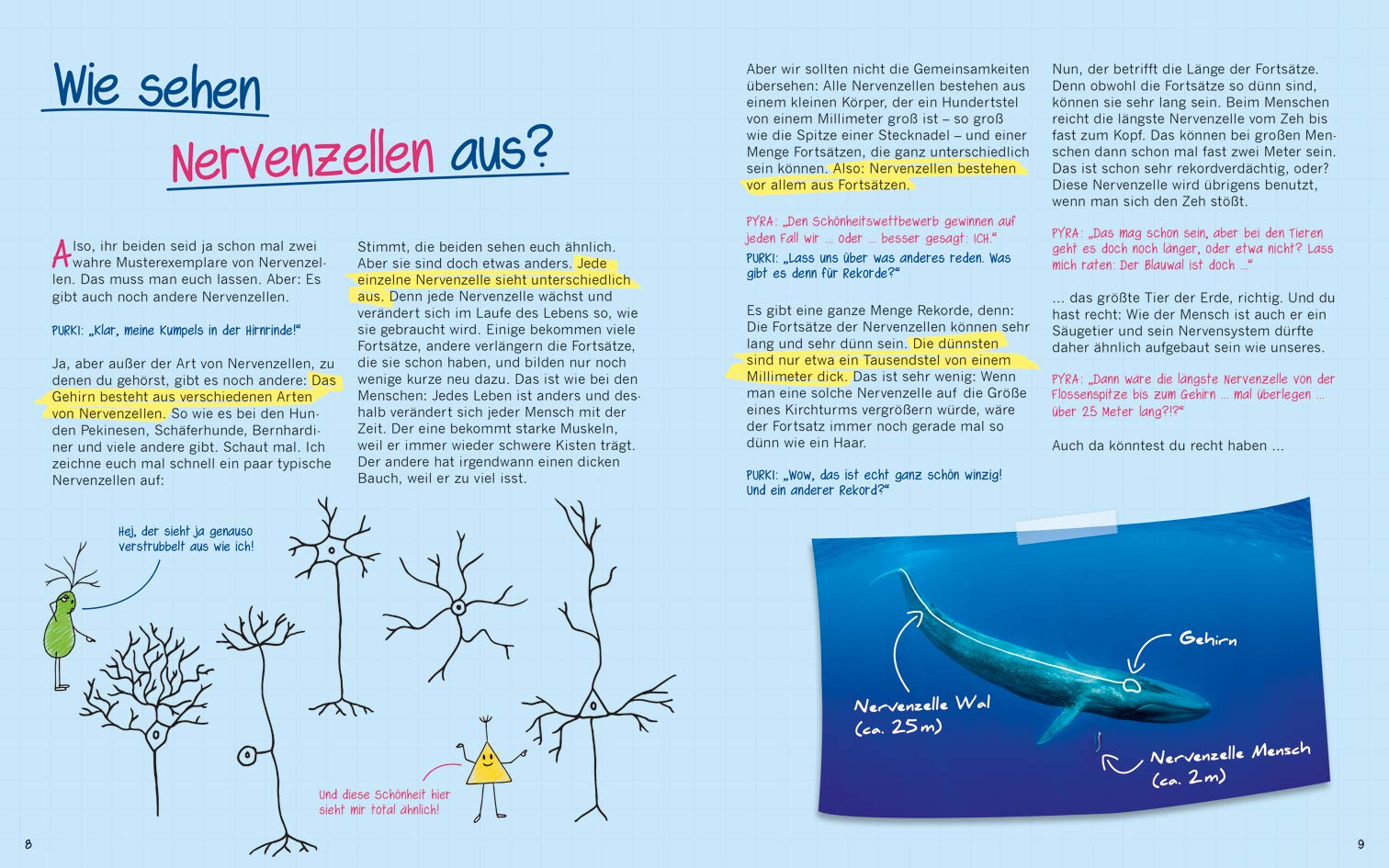 Warum graue Zellen auch mal rosa sind. Spannende Fragen und Antworten rund um dein Gehirn