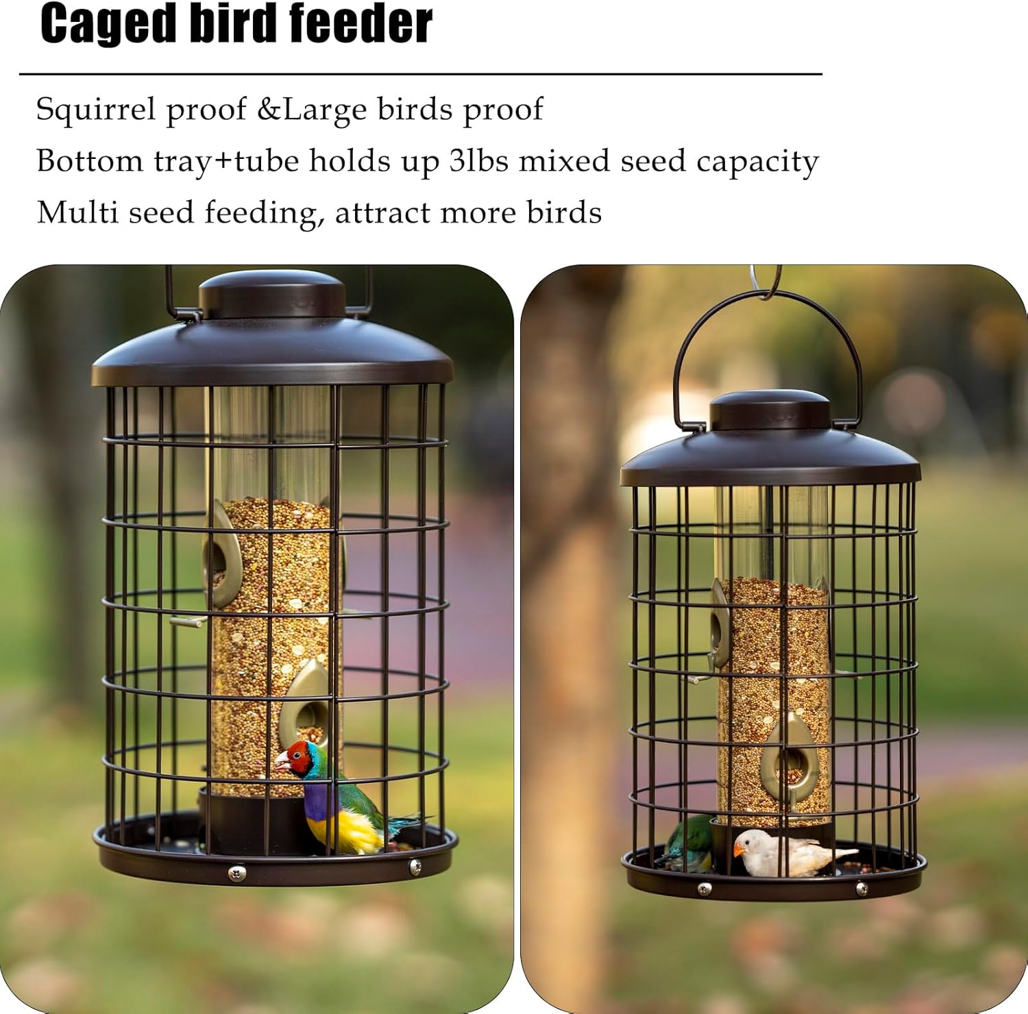 Caged Bird Feeders Metal - 3 Lbs - Squirrel-Proof Wild Bird Feeders, Clear Tube Feeders Hanging Outside Starling Proof, Detachable Cleaning, 4 Feed Ports(Copper) - Image 3
