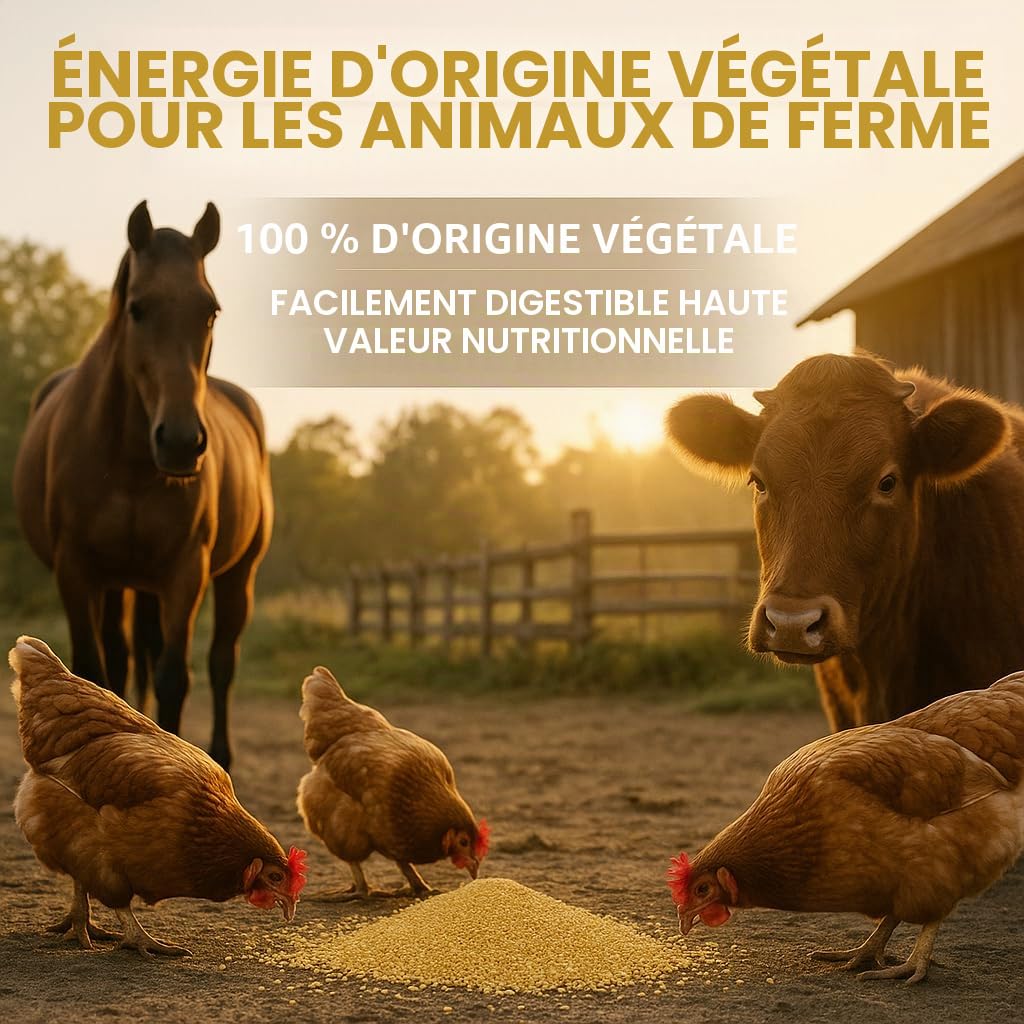 GiDeli Millet jaune 25 kg – Nourriture pour perruches, graines de millet – Nourriture pour canaris et oiseaux domestiques