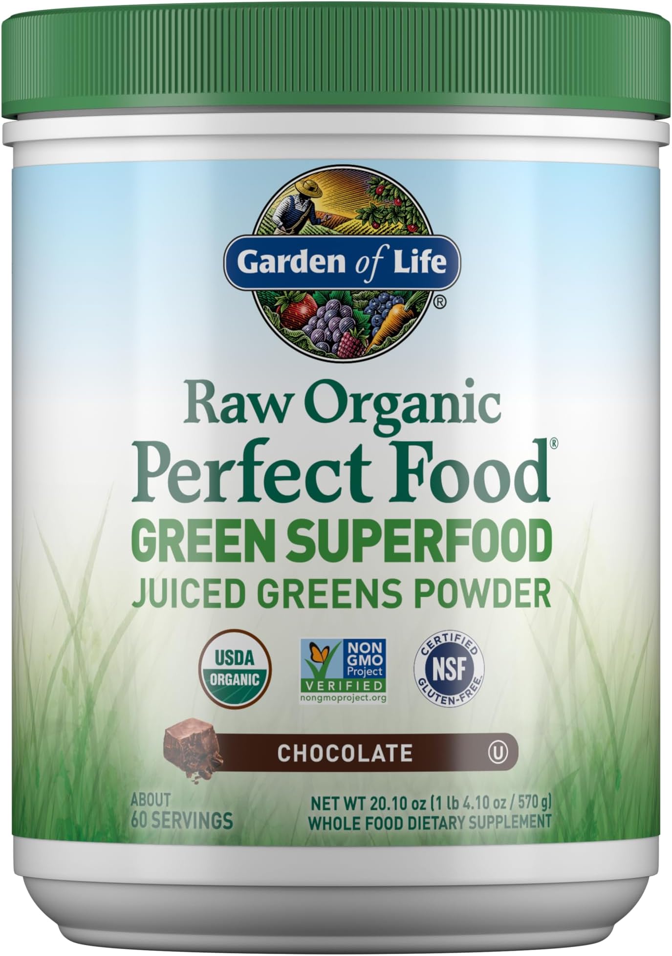 Raw Organic Perfect Food Green Superfood Juiced Greens Powder - Chocolate, 60 Servings, Non-GMO, Gluten Free, Vegan Whole Food Dietary Supplement Plus Probiotics, Enzymes