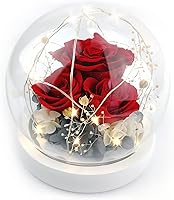 Vista 13 de Kylin Glory Forever Flowers - Rosas eternas reales preservadas, regalo con luces LED de estado de ánimo para el día de San Valentín, cumpleaños