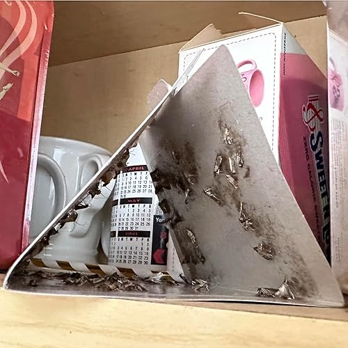 Miniatura 4 de MothPrevention Potentes trampas para polillas de despensa, paquete de 6, asesino de polillas con feromonas, trampa para polillas de cocina para tu