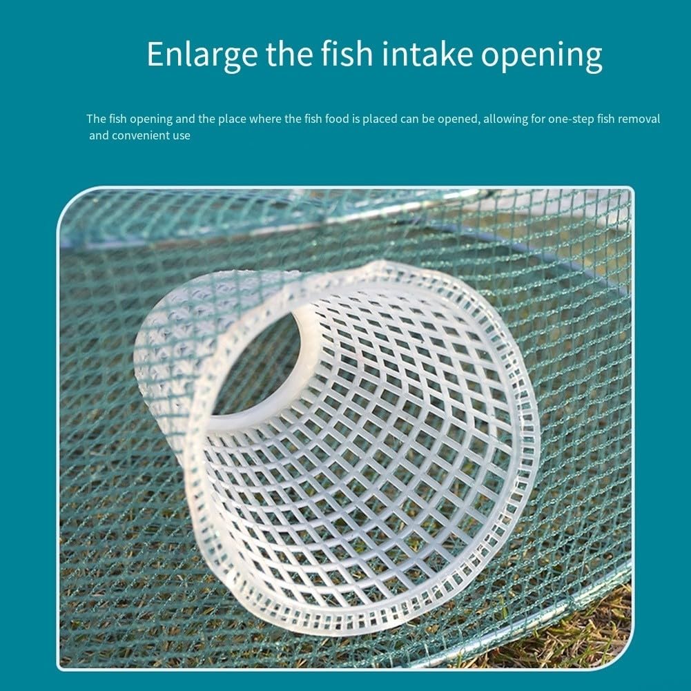 Trappola per pesci pieghevole con ingresso in nylon, gabbia per gamberetti, per pesca d'acqua dolce e salata, portatile, pieghevole, con confezione di accessori, verde (D)