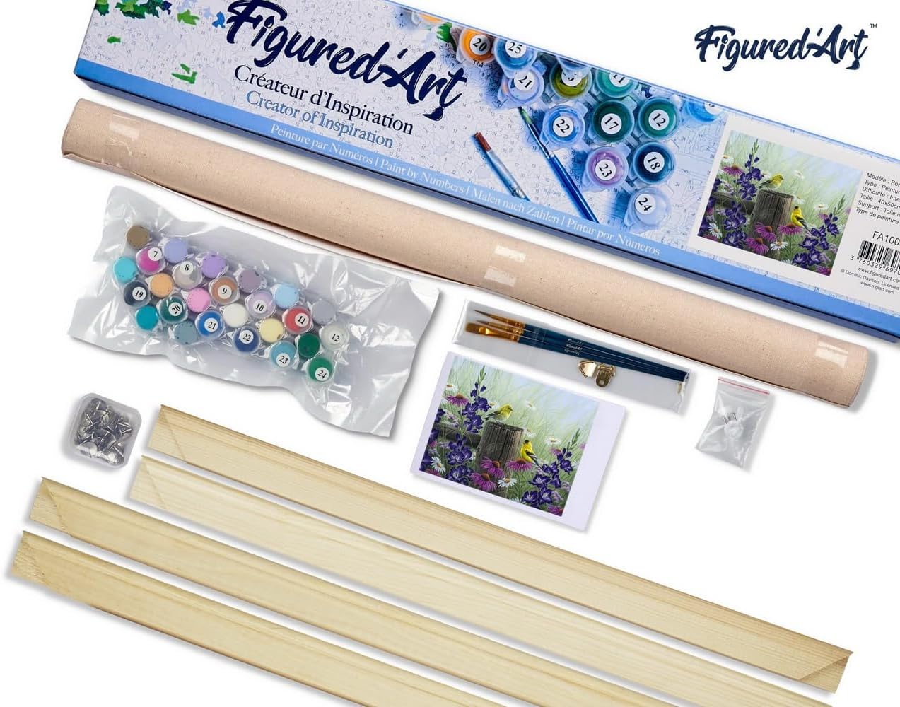 Figured'Art Paint by Numbers Kit for Adults Goldfinch Birds 16"x20" - Craft Art Painting Rolled Canvas with DIY Wooden Frame