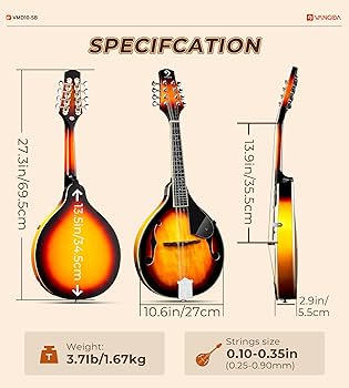 INA JAPAN KYOMEISHA B マンドリン 8弦 ハードケース付 Amazon | マンドリン楽器 8弦マンドリンギター無垢材スチール弦