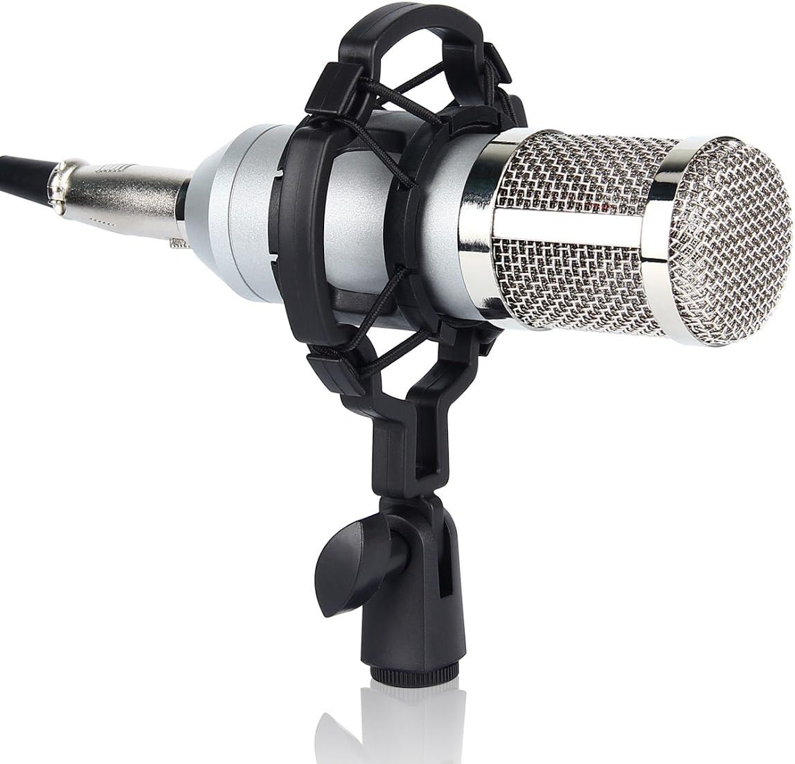 Donnagelia BM800 Condenser Microphone Kit with Shock Mount and Anti-wind Foam Cap and Microphone Power Cable for Professional Studio Recording Podcasting Broadcasting
