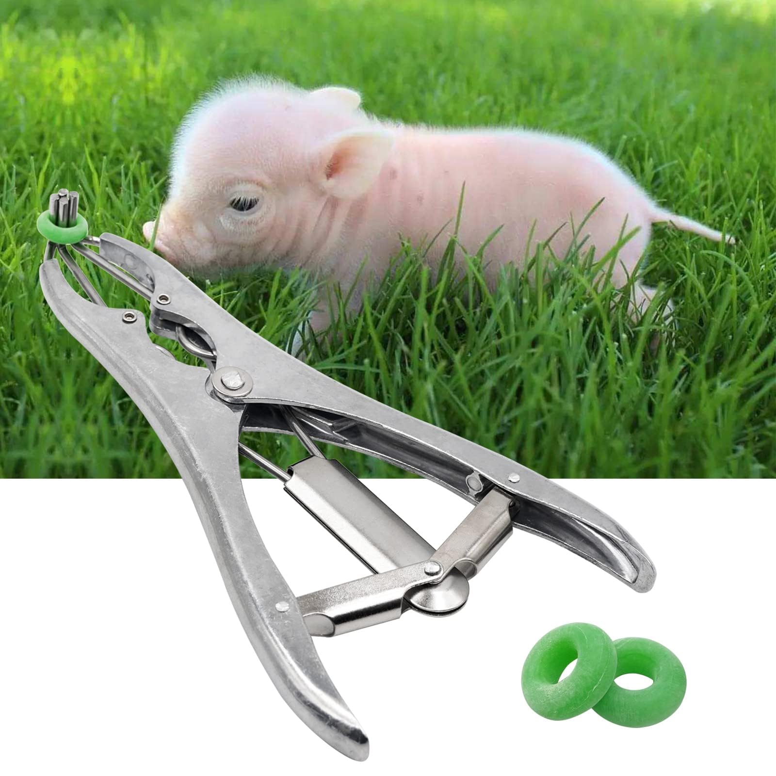 MOGOULUACastration Pliers with 200 Pieces Rubber Rings Balloon Expansion Pliers Balloon Filling Sequins Tool Bloodless Castration Pliers Elastrator Castration Pliers for Goats (Stainless Steel)