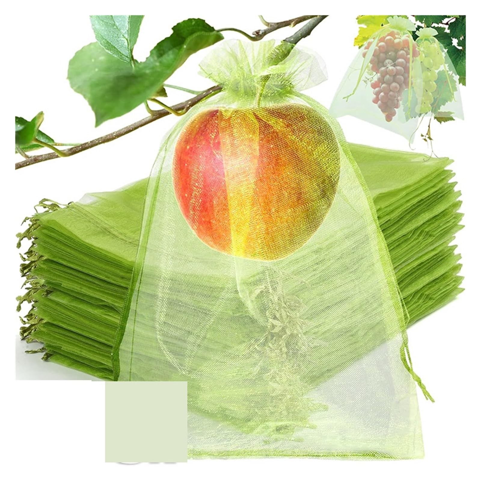 Bolsas de protección frutas con cordón, malla a prueba insectos, cubiertas barrera contra plagas, reutilizables for árboles, plantas, suministros jardín | Green 20x30cm,10PCS