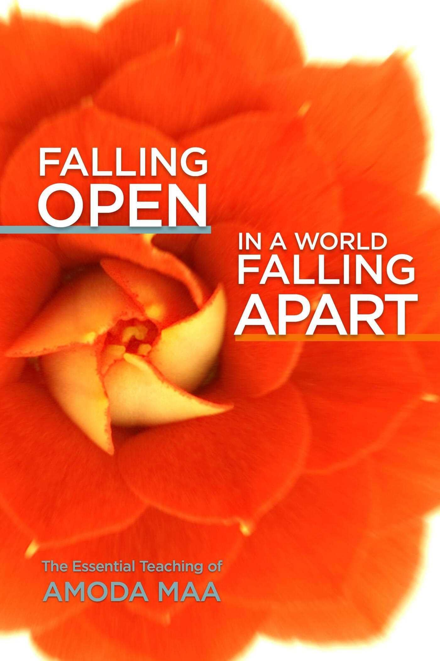 Falling Open in a World Falling Apart: The Essential Teaching of Amoda Maa by...