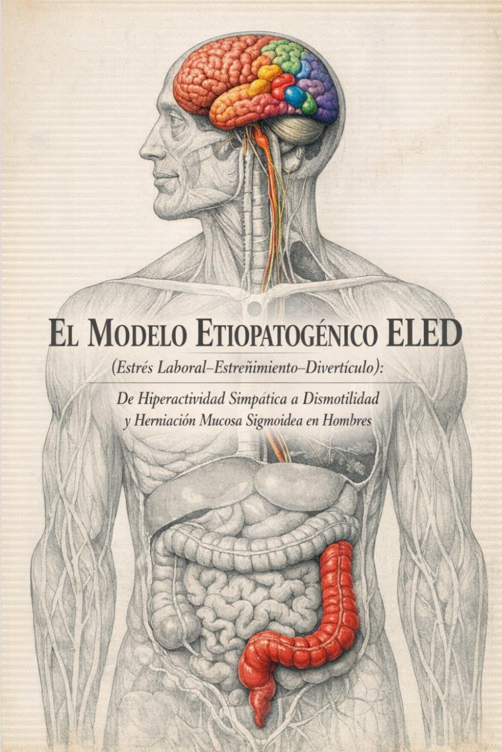 EL MODELO ETIOPATOGÉNICO ELED (Estrés Laboral–Estreñimiento–Divertículo): De Hiperactividad Simpática a Dismotilidad y Herniación Mucosa Sigmoidea en Hombres