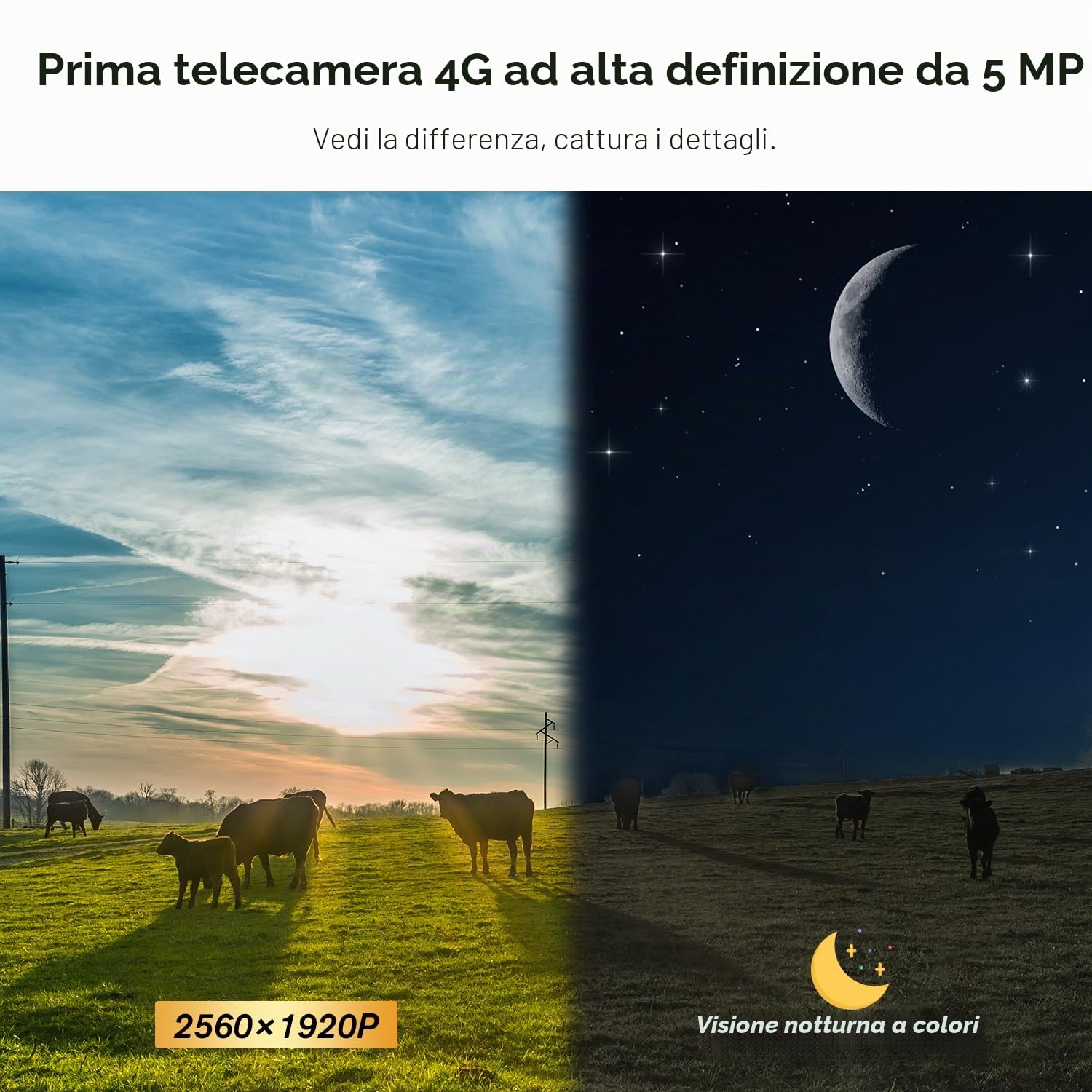 Ctronics 5MP Telecamera di Sorveglianza WiFi Esterna Telecamera IP | PTZ Visione Notturna Colore 25M 2560X1920P Rilevamento Umano Tracciamento Auto 355° Pan 90° Tilt Audio Bidirezionale IP66