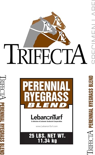 Trifecta II Gray Leaf Spot Resistant Perennial Ryegrass Blend Bag