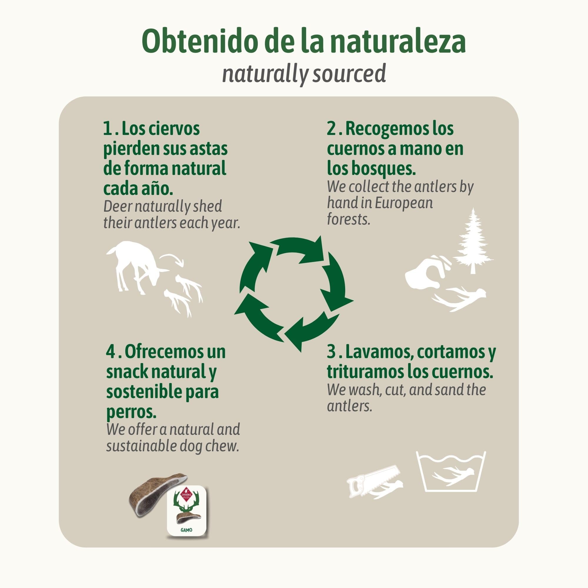 ChronoBalance, XXL Gamo asta de Ciervo para Perros, 100% Natural Snack para el Cuidado Dental, Juguete y Hueso para Perros con minerales y nutrientes, Conjunto de 2
