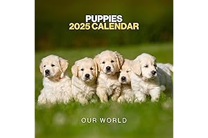 Puppy Calendar 2025 - Large 12 Month 2025 Wall Calendar - Month...