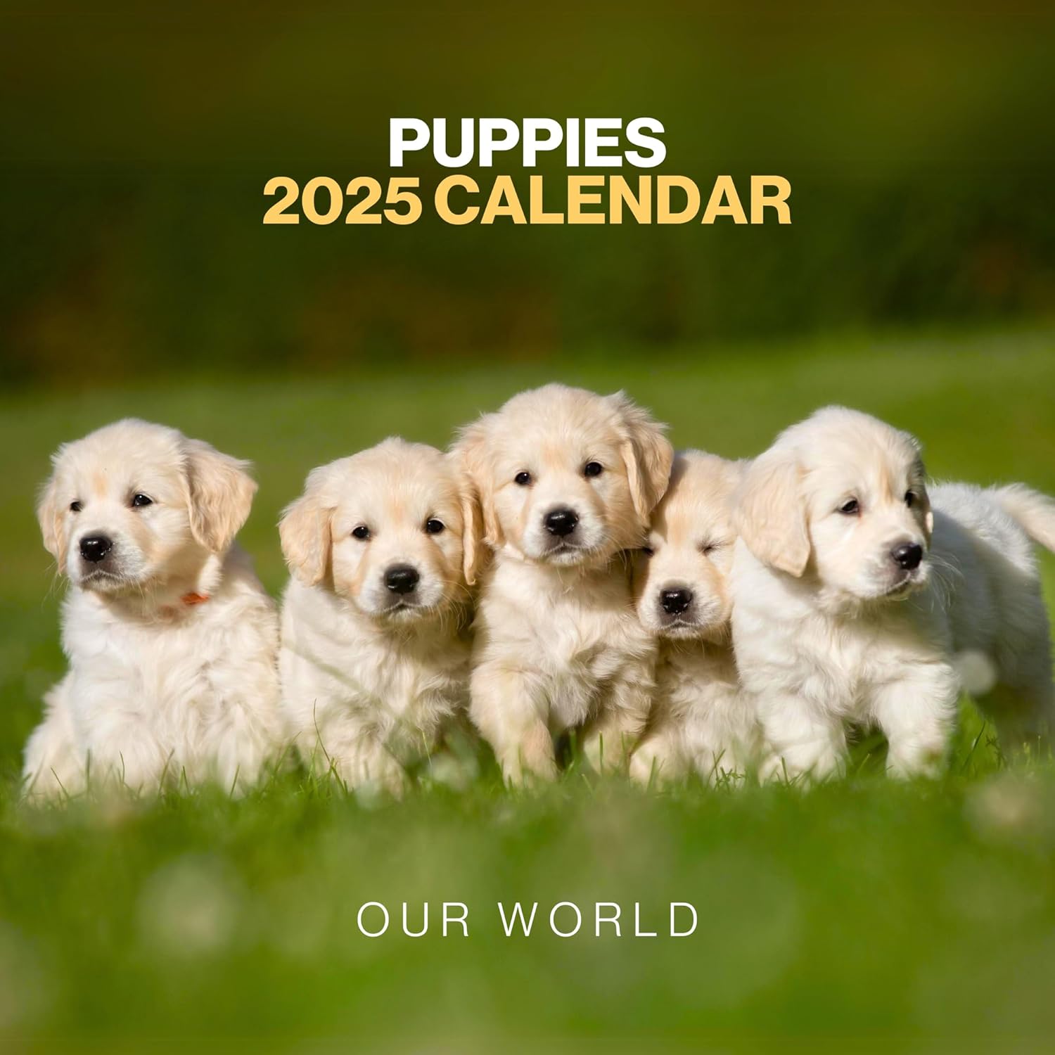 Puppy Calendar 2025 Large 12 Month 2025 Wall Calendar