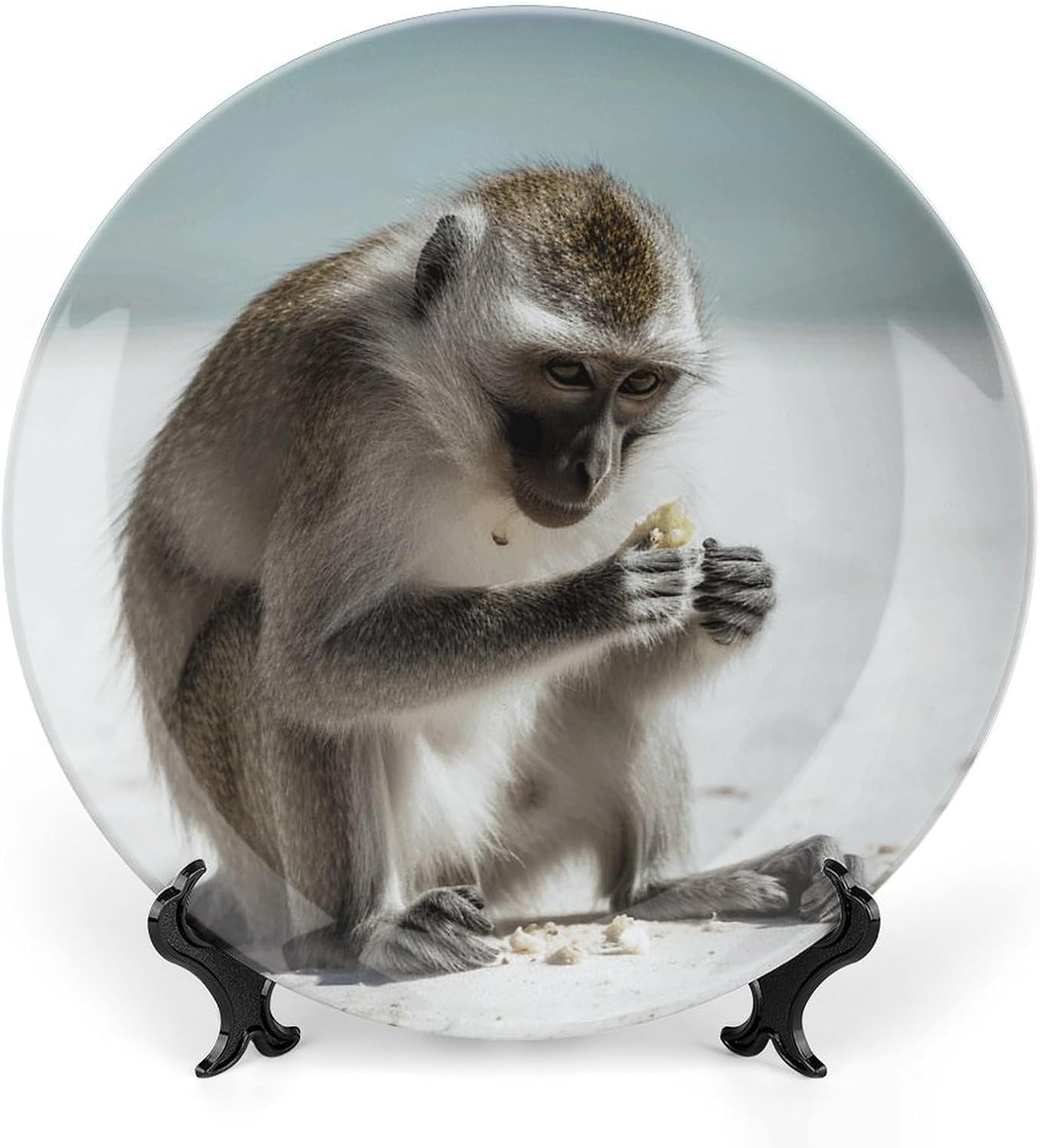 Bone China Decorative Plates Monkey on The Ground Ceramic Decorative Plate Wall Decor with Display Stand Ceramic Ornaments for Wall Hanging Decoration