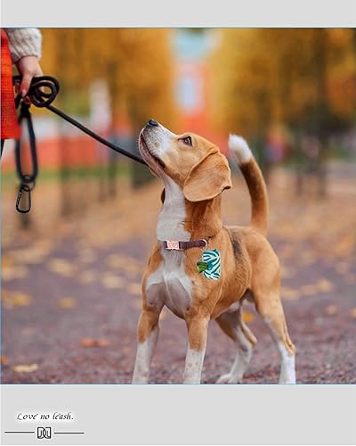 Miniatura 6 de Correa de cuerda de calidad para perro con clip rápidodesclip de aviación y clip, para perros pequeños, medianos y grandes (4 pies)