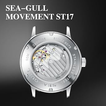 SEA-GULL Men's Automatic Mechanical Watch with Seconds Sub-dial, Business Leather Strap Analogue Display Wristwatch,40mm