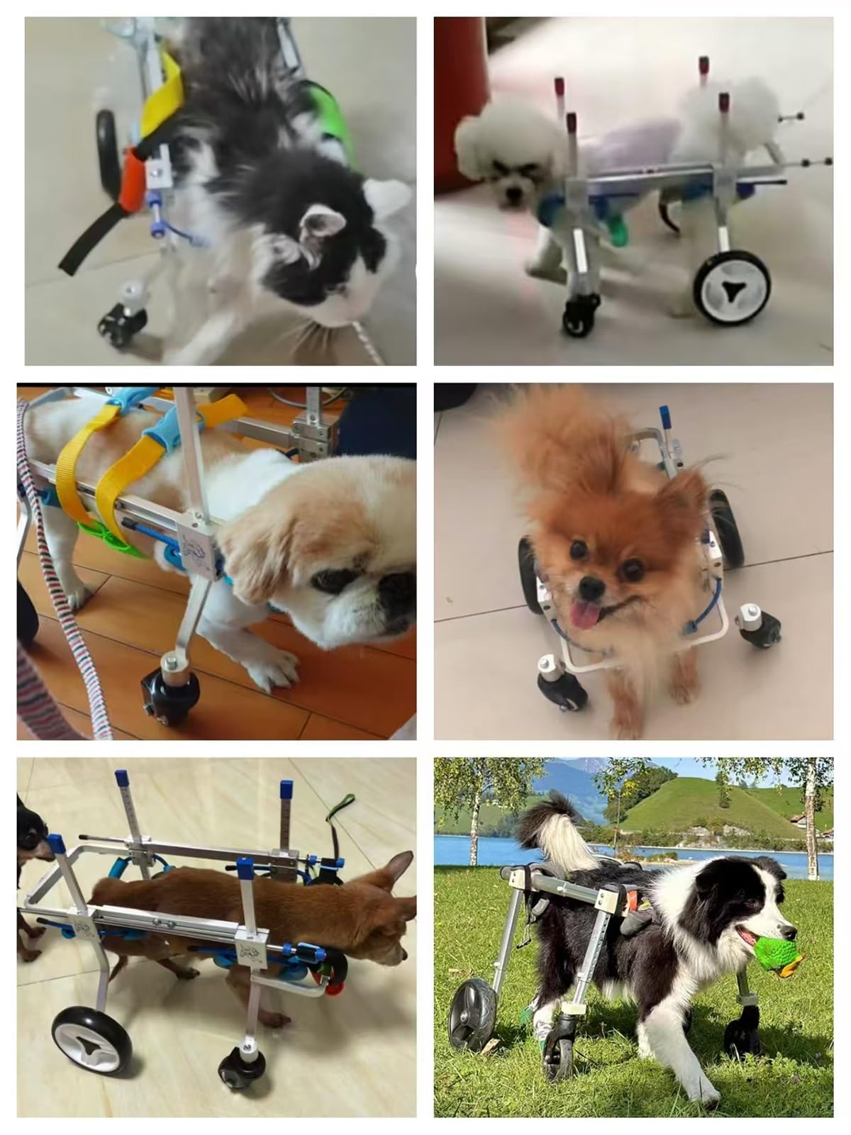 Wózki inwalidzkie dla zwierząt domowych z 4 kołami i regulacją, metalowy wózek wspomaganiem psów paraliżem kończyn tylnych(S)