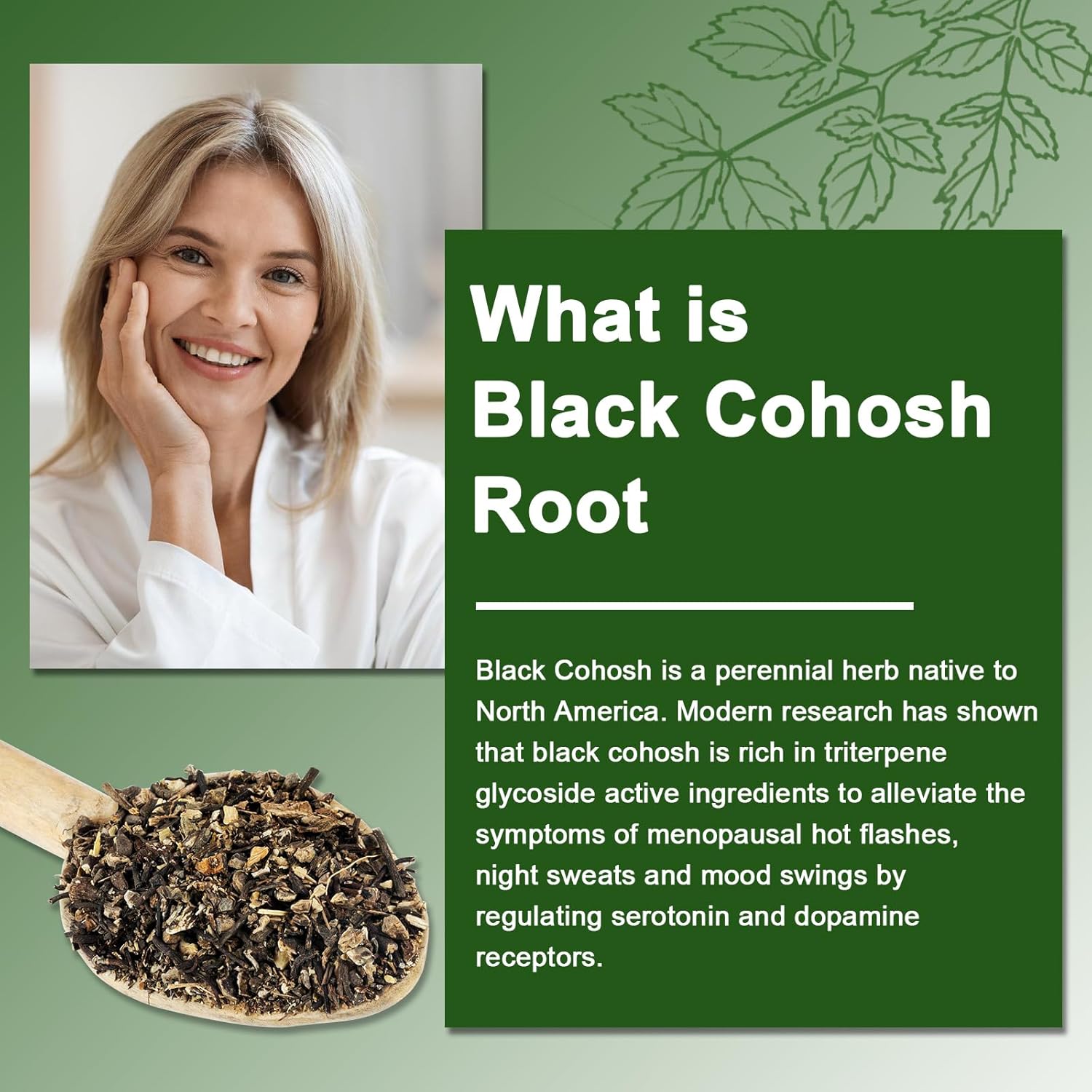 Black Cohosh Gummies for Menopause Hot Flashes - Natural Menopause Relief, Mood Swings & Hormonal Balance - Vegan-Free 60 Gummies - Image 4