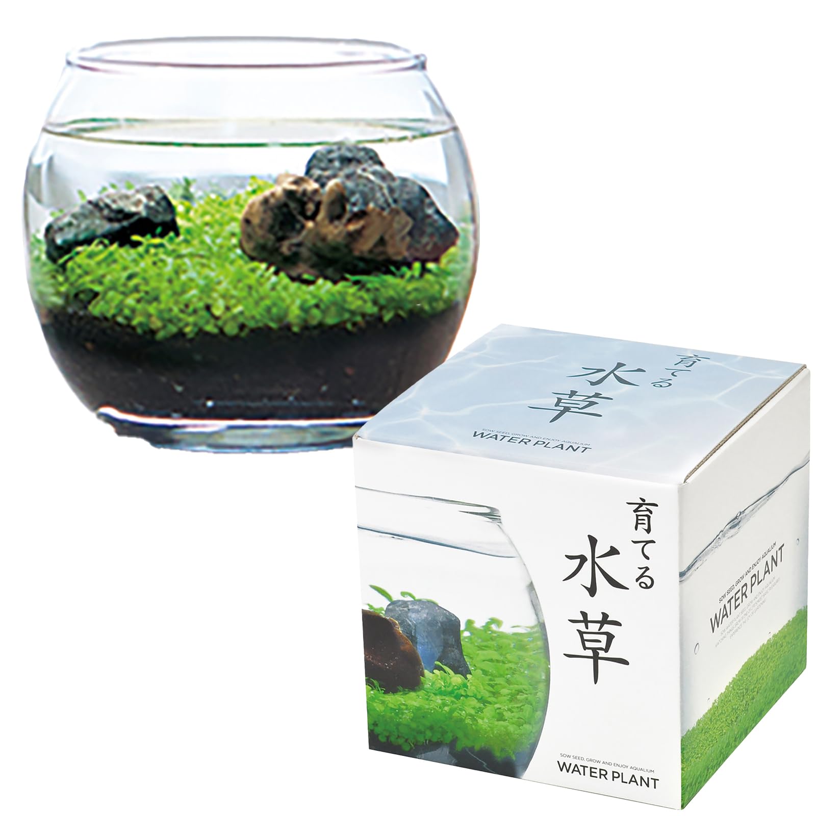育てる水草　水草栽培キット　Sサイズ　12点セット　GD-812 育てる水草 S GD-812 水草 栽培 キット かわいい アクアリウム 育てる