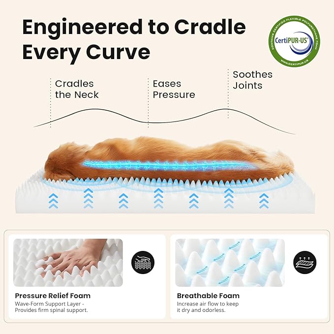 Cama Ortopédica para Perros Grandes 41 Pulgadas Lavable miniatura 4