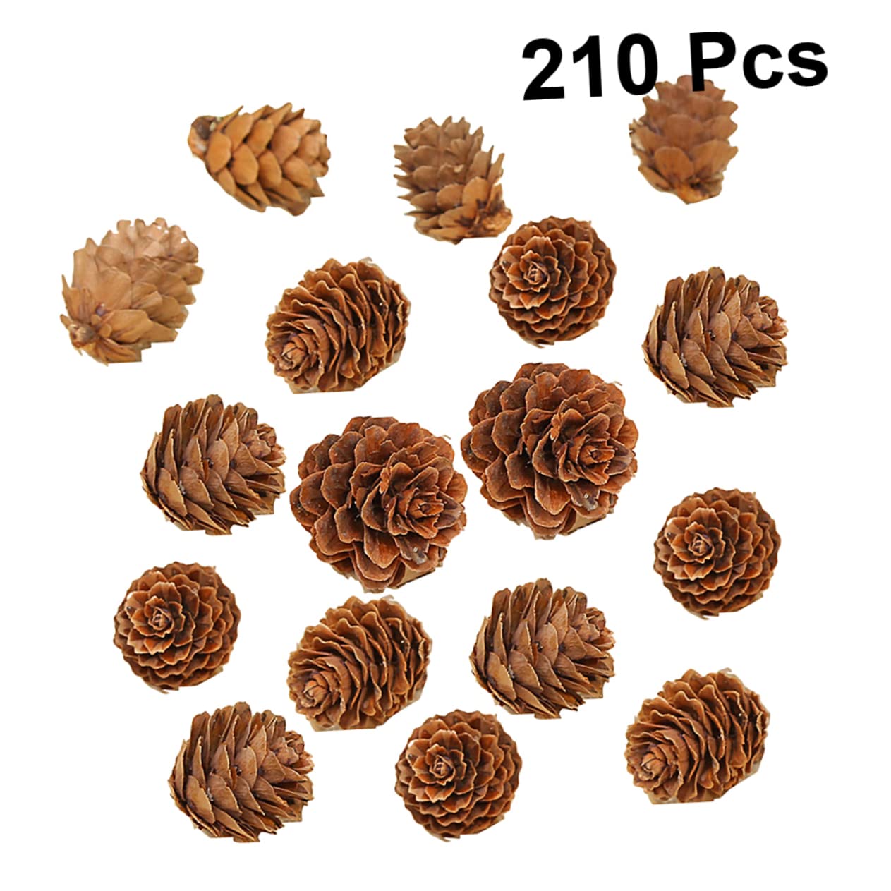 210piezas Decoraciones de Piñas Naturales Mini Piñas Secas de Adorno Vegetal para Acción de Gracias y Navidad para Decoración de Hogar