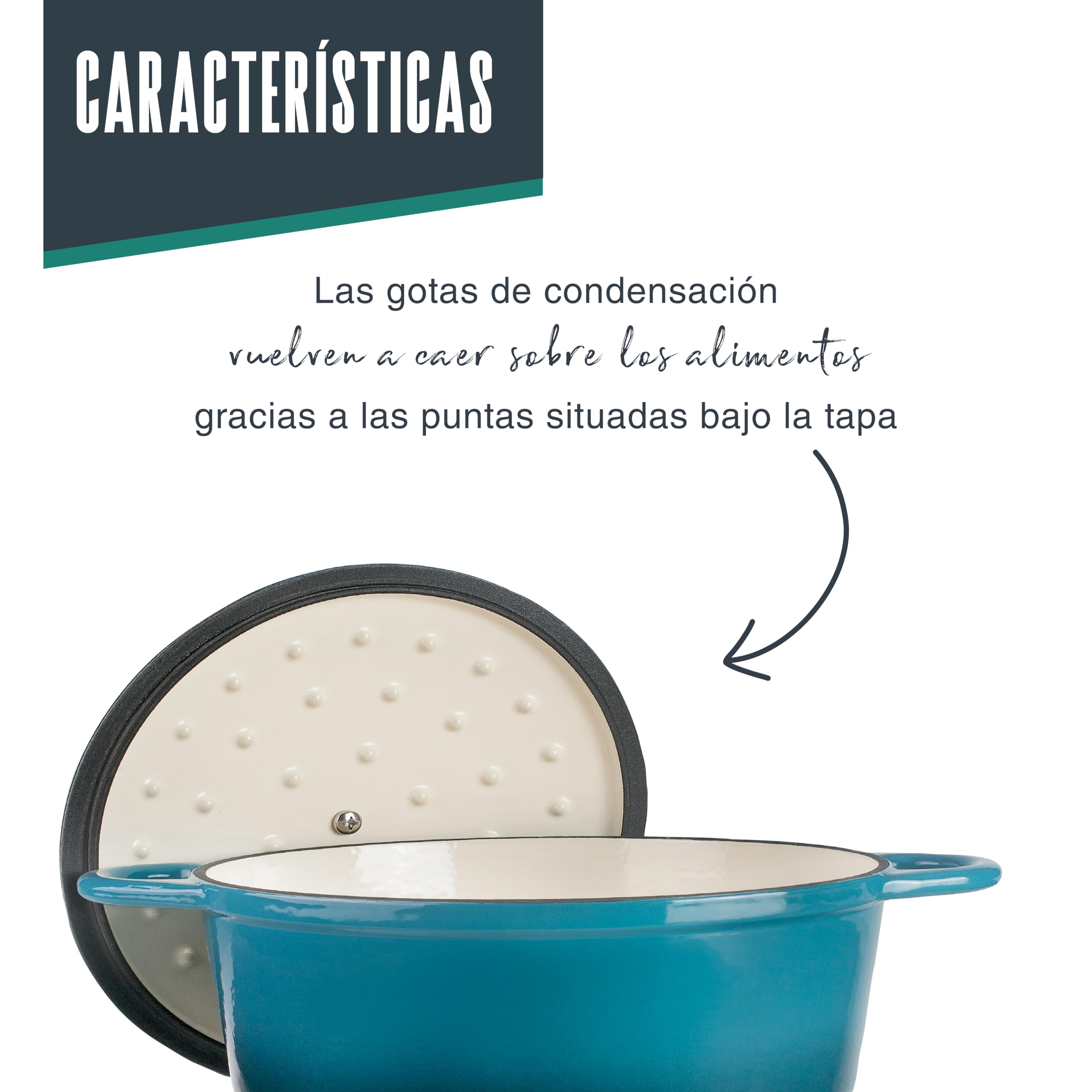 LACOR 71709 - Cacerola Hierro Fundido Esmaltado, 3, 5 Litros, 29 x 21 cm | En hierro robusto, para guisos y cocciones uniformes; apto para inducción y horno, apto para lavavajillas, cómodo y funcional