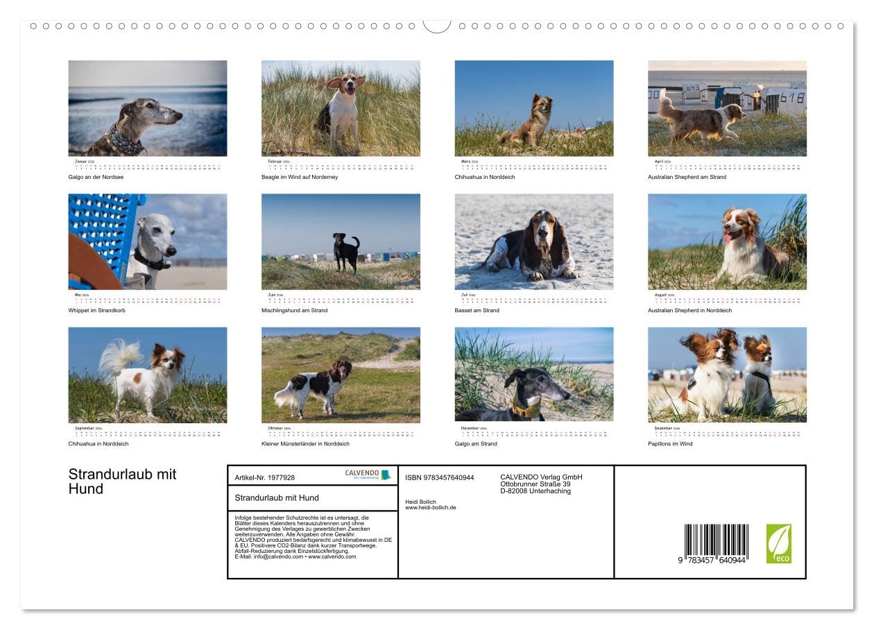 Strandurlaub mit Hund (Wandkalender 2026 DIN A2 quer), CALVENDO Monatskalender: Eine bunte Mischung vierbeiniger Standurlauber an der Nordsee (CALVENDO Tiere)