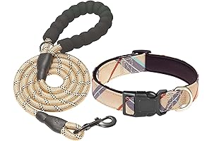 Gucci Collar: Luxurious and Captivating for Your Canine Companion