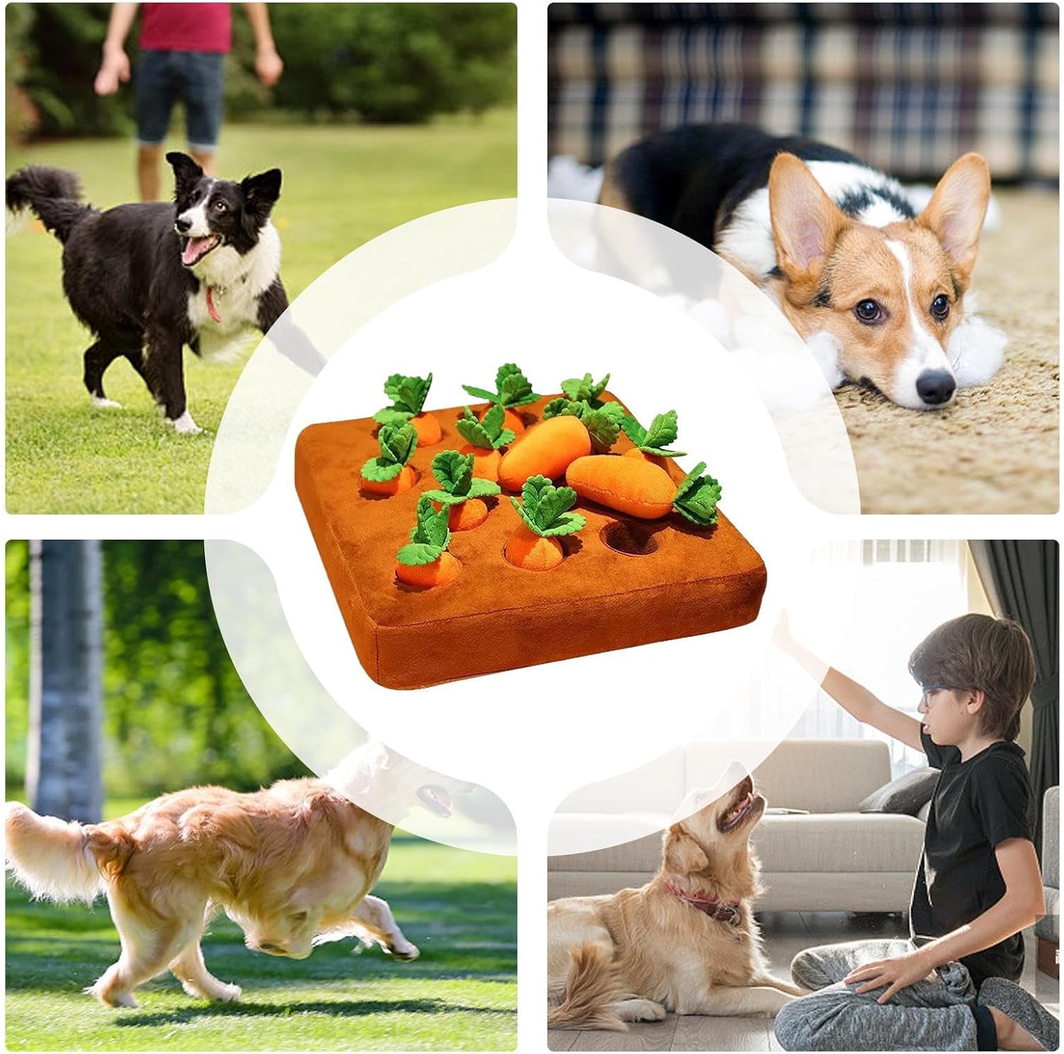 Snuffle Toys for Dogs - Interactive Feed Games | Dog Puzzle Toy with 12 Carrots, Perfect for Puppies, Mental Stimulation, Brain Training, Small Animals, Bunny, Rabbit, Chinchilla, Hamster