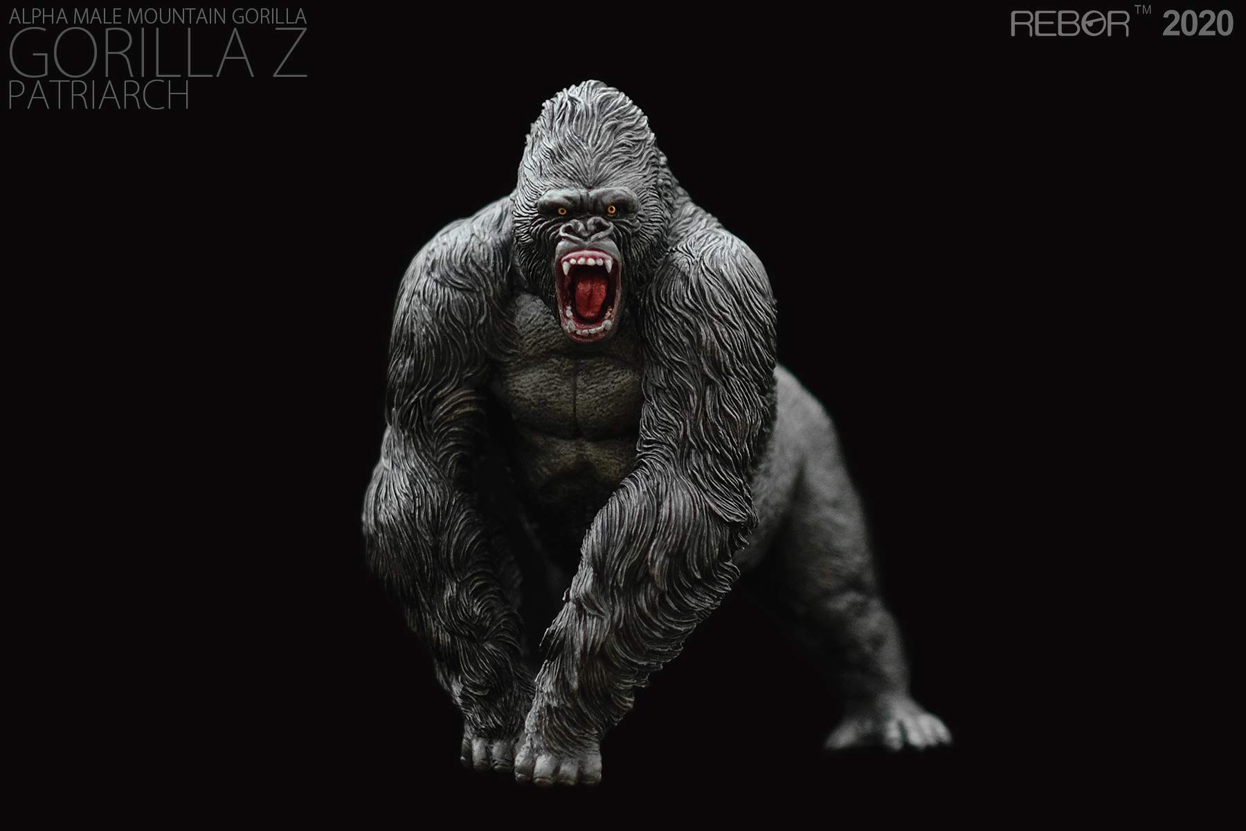 Amazon | Rebor 2020 GORILLA オス ゴリラ 霊長目ヒト科 野生動物
