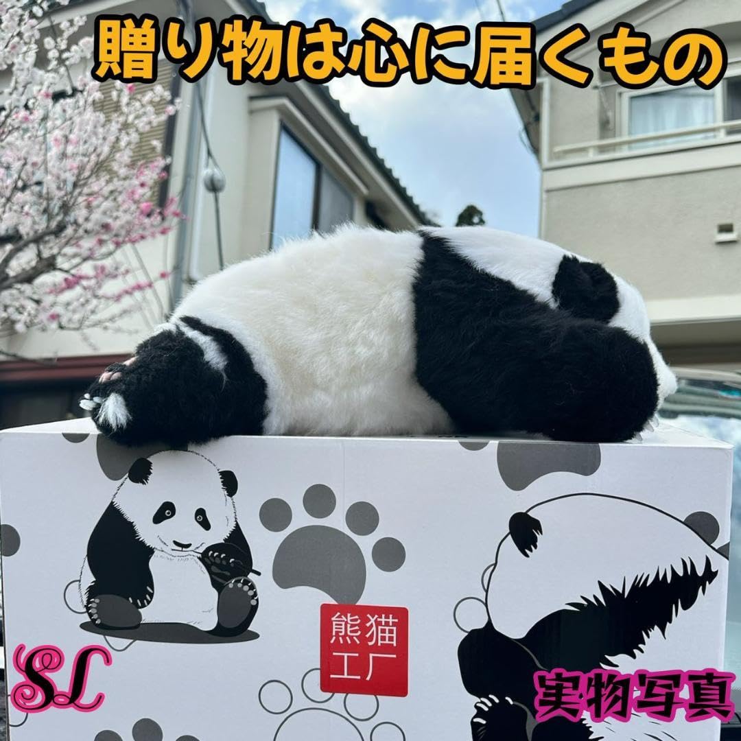 Amazon.co.jp: 希少品 三月のファーファー パンダぬいぐるみ
