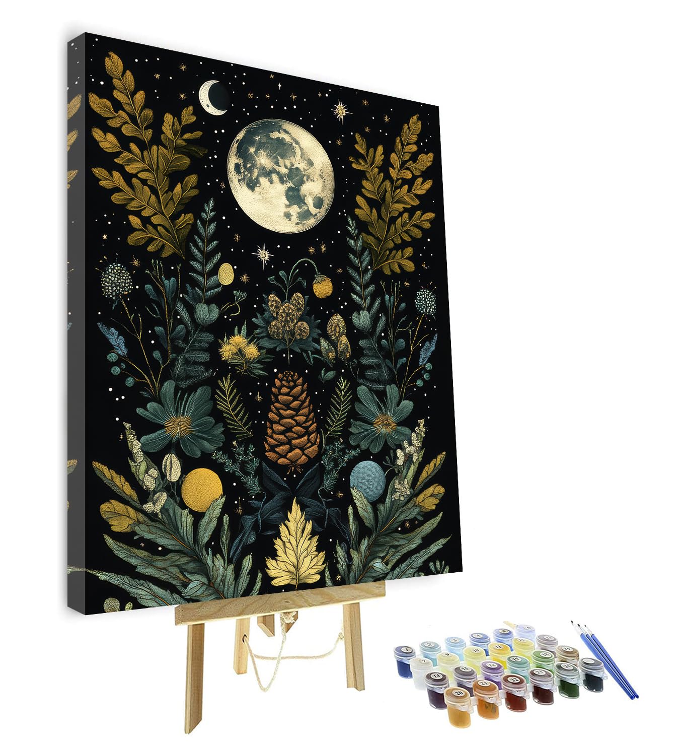 TISHIRON Plant Illustration Paint by Numbers Kit for Adults, Moon and Stars DIY Oil Paint by Numbers Kit for Beginners Pine Cones Painting Acrylic Paint Crafts for Home Decor 16x20 Inch with Frame