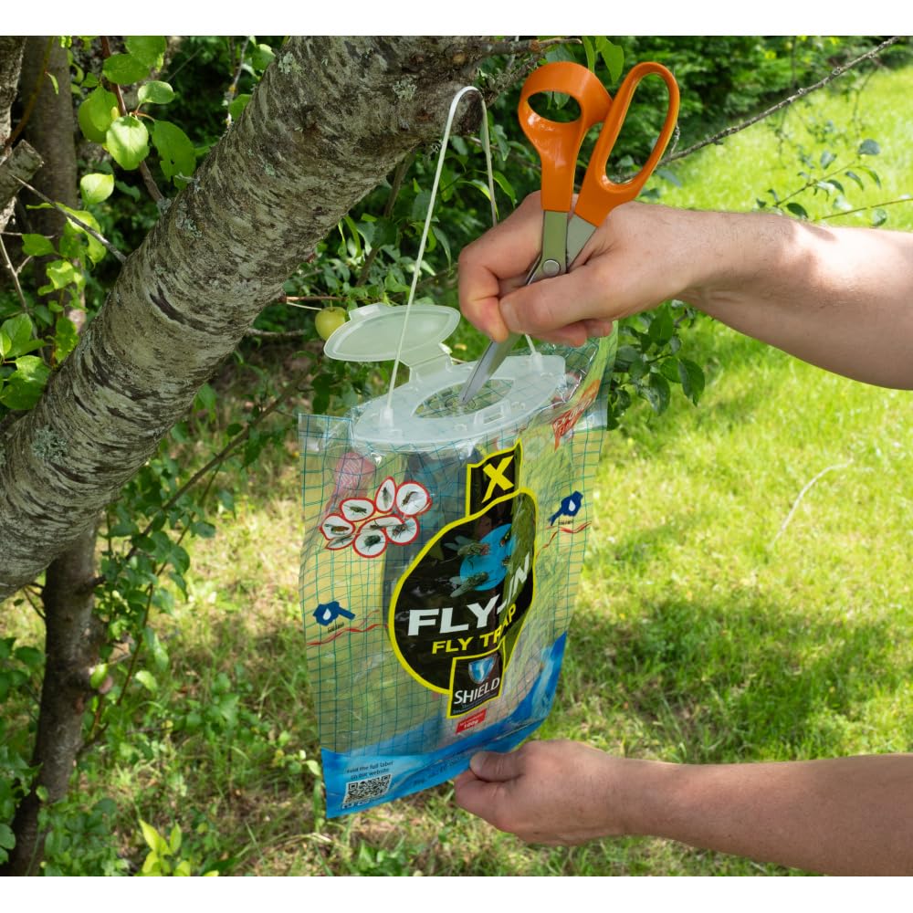Trappola per mosche pronta all'uso (4)
