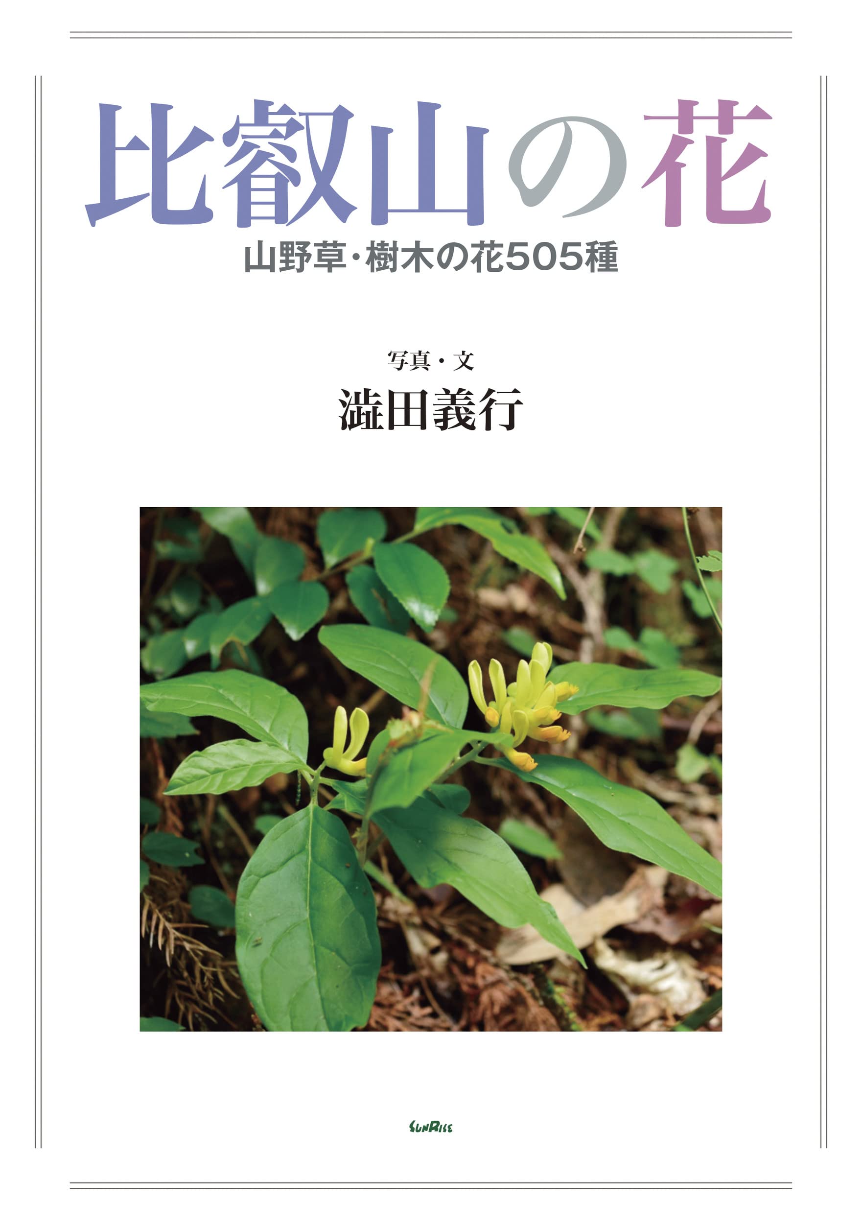 比叡山の花 山野草・樹木の花505種 | 澁田 義行, 澁田 義行 |本