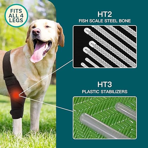 Miniatura 6 de Soporte ajustable para cadera y pierna de perro, soporte para dolor en las articulaciones, desgarro de LCA, artritis, displasia de cadera,