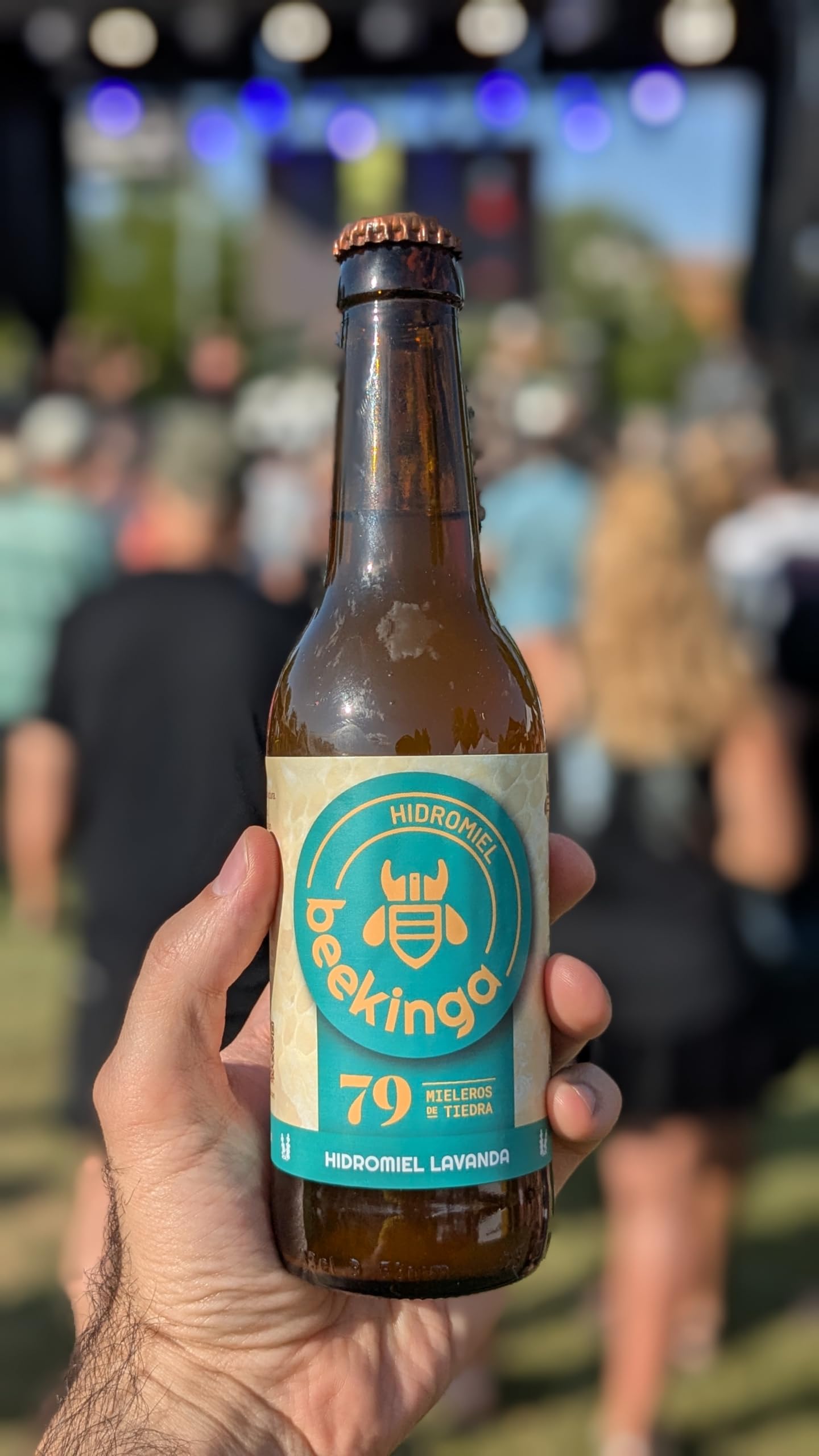 Beekinga Pack Degustación Hidromiel de 12 Botellines de 33cl con Hidromiel de Romero, Lavanda, Tostado y Frutos Rojos