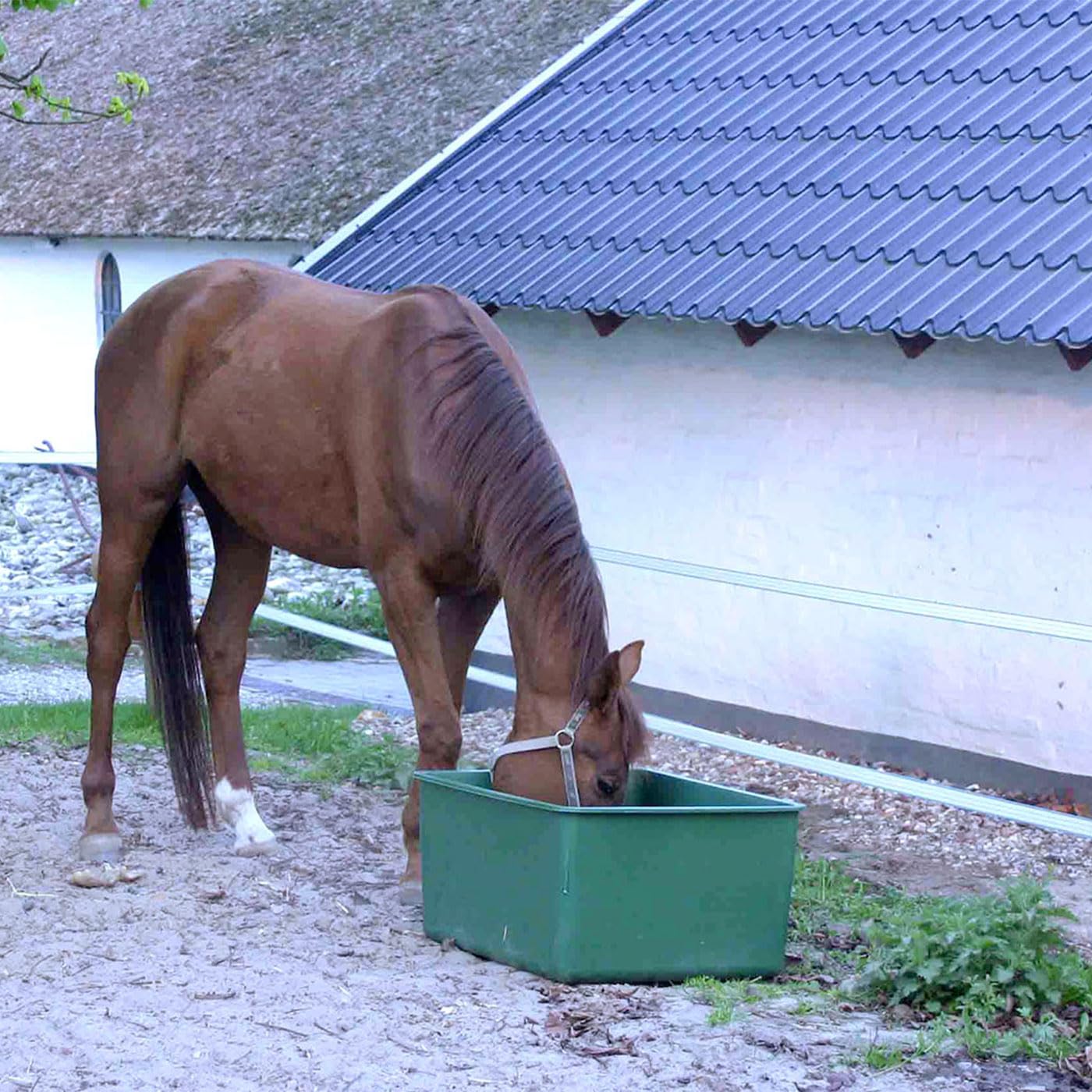 Brama-West Weidetrog 200 L für Pferde Wassertrog Futtertrog Wasserwanne