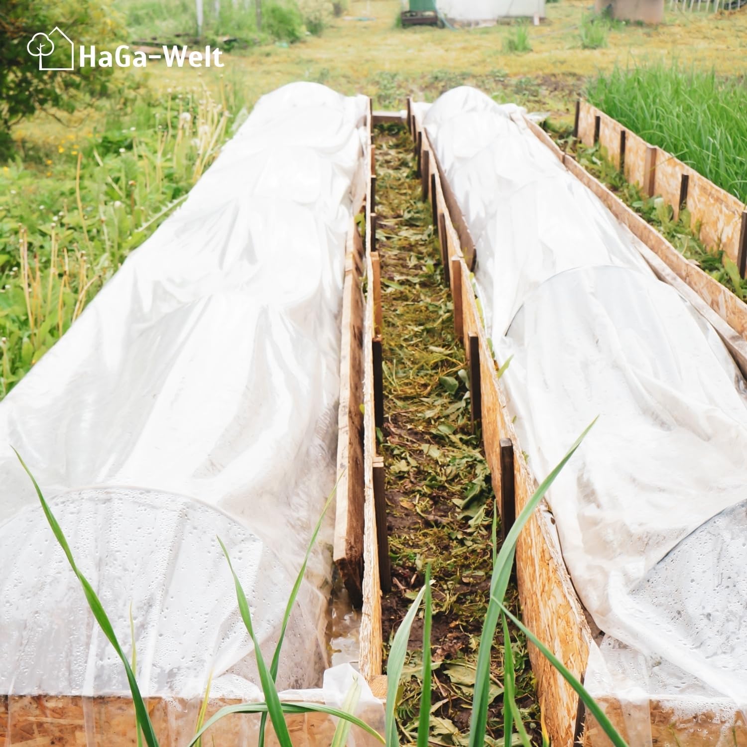 HaGa Pellicola per serra UV5, 6 m x 10 m, in polietilene trasparente, come tunnel di pellicola, serra, pomodori, resistente alle intemperie, ai raggi UV