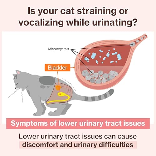 Miniatura 7 de Doctor By UT Care Cat - Suplemento urinario de apoyo renal para UTI de gatos, tratamiento con arándano para la salud renal de gatos con Pacran,