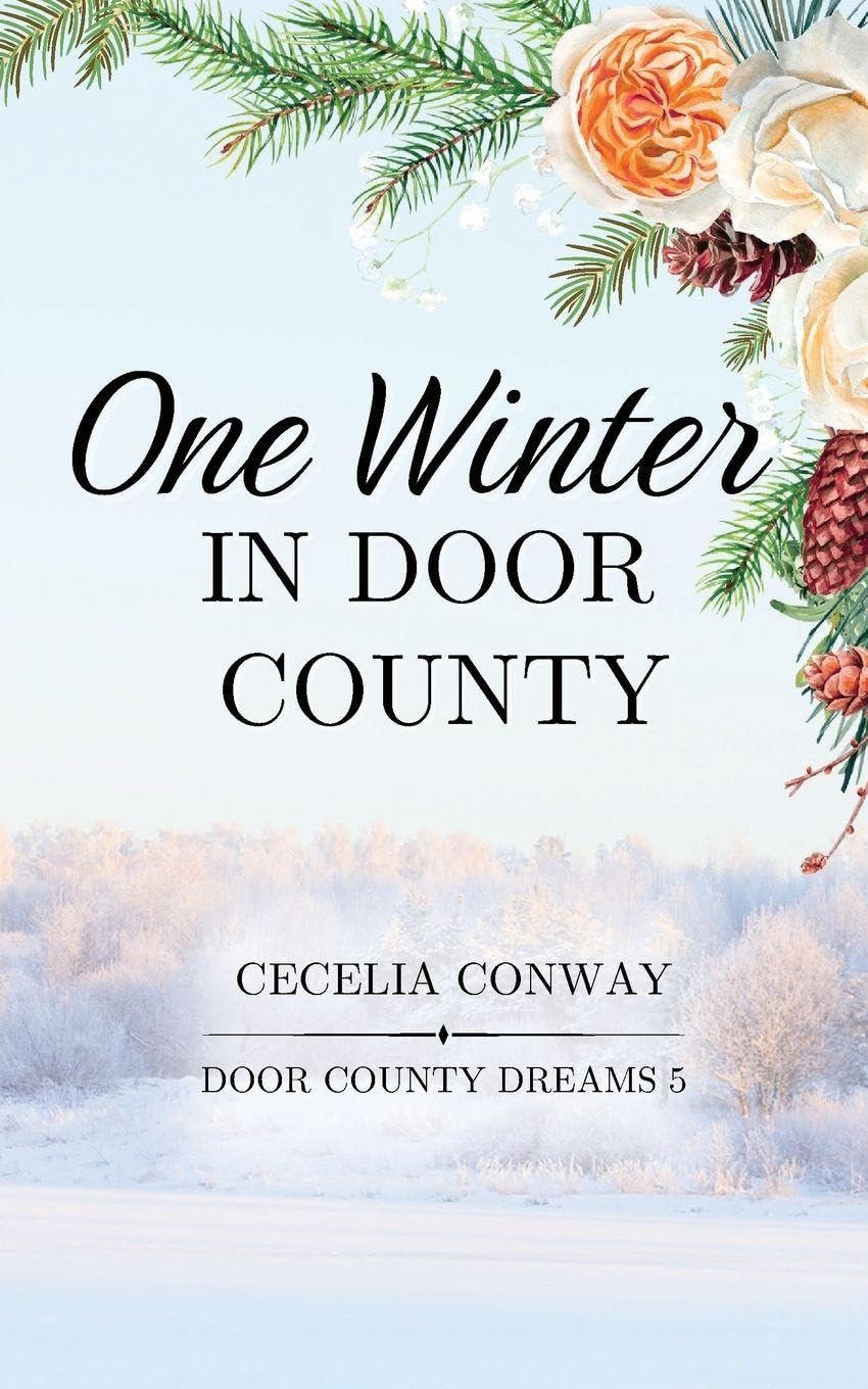 One Winter in Door County: An Enemies to Lovers Small Town Romance: 5 (Door County Dreams)