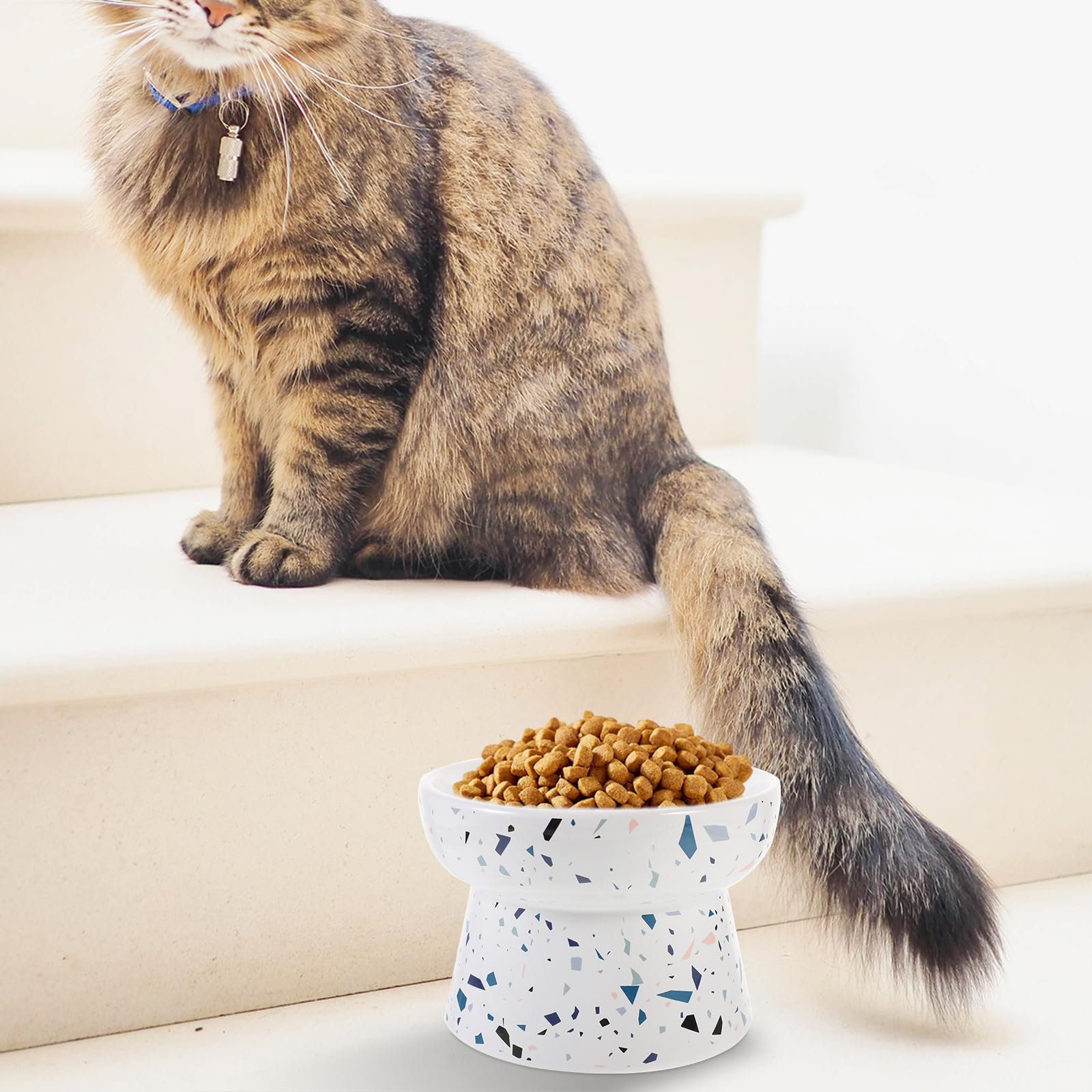 VALICLUD Erhöhter Keramik Katzennapf mit Großer Kapazität rutschfest und Leicht zu Reinigen für Katzen und Hunde zum Füttern im Alltag