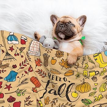 Amazon.com: Hello Fall Autumn Leaves Waterproof Dog Blanket