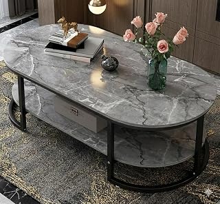 Oval Center Table Modern 2-Tier Coffee Table with Marbl...