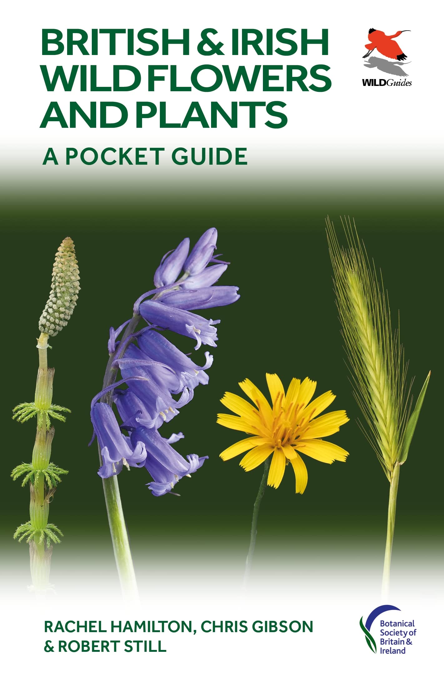 British and Irish Wild Flowers and Plants by Chris Gibson (Paperback Book)